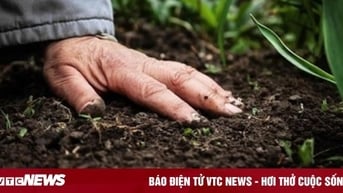 Nam công nhân lái máy xúc nhiễm 'vi khuẩn ăn thịt người'