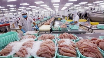Xuất khẩu cá tra sang Đức tăng trưởng 2 con số