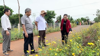 Bà Rịa - Vũng Tàu: Một huyện trồng hoa hơn 600km đường giao thông