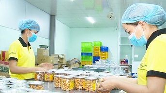 Việt Nam đang là nguồn cung lớn nhất và khó thay thế một loại hạt cho Mỹ, Trung Quốc, EU