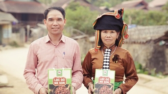 ដើមសណ្តែកដីបង្កើតផលហៅថាមើម។ នៅ Dien Bien មើម​ឆ្ងាញ់​មួយ​បាច់​ត្រូវ​បាន​ទាញ​ឡើង ហើយ​សណ្ដែក​ដី​មាន​ពណ៌​ក្រហម​ដូច​មាត់។