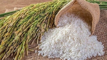 Việt Nam đã chi gần 700 triệu USD để nhập khẩu gạo