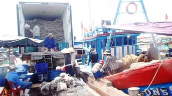 Khánh Hòa: Thực hiện đồng bộ các giải pháp để chấm dứt vi phạm IUU