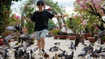 Nàng xuân “gõ cửa” Trà Sư
