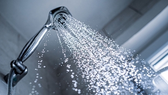 កន្លែងផ្ទុកមេរោគដ៏គួរឱ្យខ្លាចគឺនៅជិតអ្នកខ្លាំងណាស់៖ ក្បាលផ្កាឈូក និងច្រាសដុសធ្មេញ