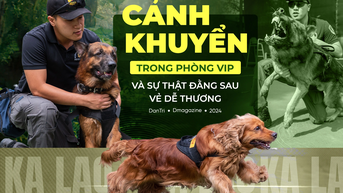 Cảnh khuyển trong phòng VIP và bí mật đằng sau vẻ ngoài dễ thương