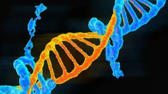 Australia sử dụng CRISPR để vô hiệu hoá các đột biến gene gây ung thư