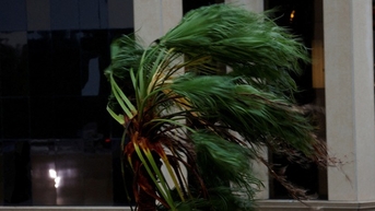 Bão Milton đổ bộ Florida, lượng mưa lớn kỷ lục