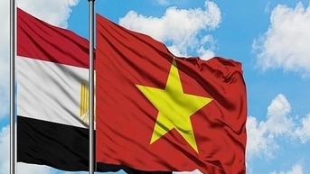 Tổng quan về Thương vụ Việt Nam tại Ai Cập