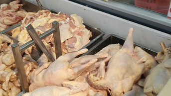 នាយក​រដ្ឋមន្ត្រី​ស្នើ​ជា​បន្ទាន់​ទប់ស្កាត់​សត្វ​មាន់​ខុសច្បាប់​ចូល​ប្រទេស​វៀតណាម​