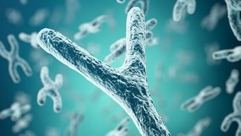 Vén màn bí mật nhiễm sắc thể Y