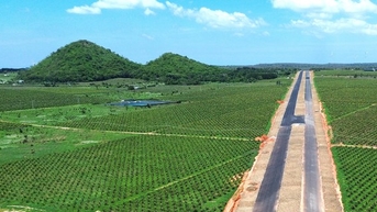 Bình Thuận lần đầu tiên tổ chức Festival Thanh long năm