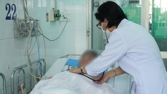 Ngộ độc do ăn nhộng ve sầu mà tưởng đông trùng hạ thảo