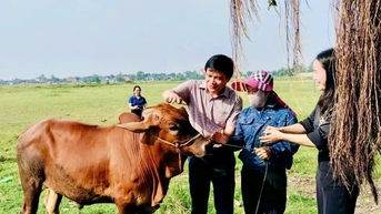 Hỗ trợ sinh kế giúp người nghèo Hà Tĩnh vươn lên
