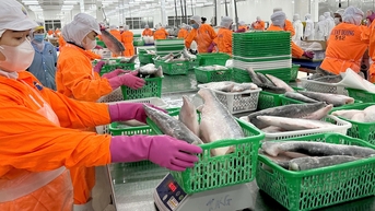 Doanh nghiệp Việt khai phá thị trường Halal