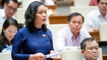Đề nghị bổ sung quy định cấm các hành vi lấn chiếm, hủy hoại đất di tích hỗn hợp