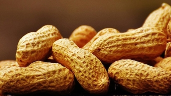 Muốn nạp protein từ đậu, nên ưu tiên ăn loại nào?