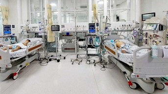 2 anh em tổn thương gan thận vì ong vò vẽ đốt