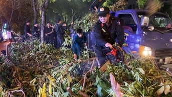 500 cảnh sát xuyên đêm cưa cây, dọn rác ở Hà Nội