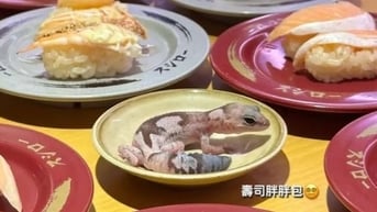 Cô gái gây tranh cãi vì đặt thằn lằn cưng trên đĩa của nhà hàng