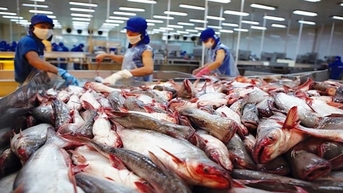 Xuất khẩu cá tra sang thị trường Trung Quốc giảm tháng thứ 3 kể từ đầu năm 2024