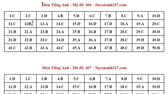 Đáp án tham khảo môn tiếng Anh