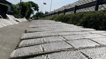 Về thăm Châu Nhân, nơi nắng càng to càng thích