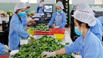 Anh gia nhập CPTPP: “Luồng gió mới” thúc đẩy thương mại Việt Nam