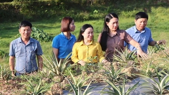 Hợp tác xã giúp phụ nữ Vũ Quang phát triển sản xuất và ổn định sản phẩm đầu ra