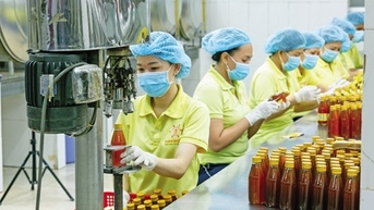 Doanh nghiệp Việt oằn lưng ứng phó với phòng vệ thương mại