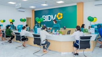 2명의 주주가 BIDV 자본의 약 96%를 보유하고 있습니다.