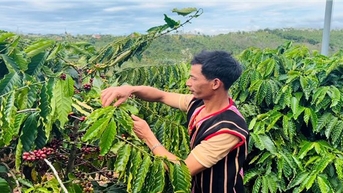 Nguồn vốn chính sách đã “trợ lực” giúp người dân Đắk Nông giảm nghèo nhanh và bền vững
