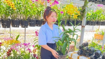 Trồng hoa lan la liệt ở Bình Dương, loài hoa quý tộc tuôn bông như suối, cản chả kịp, bán liền tay