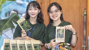 ចំបើង​ស្លឹក​ស្ងួត​របស់​ក្មេង​ស្រី​តូចៗ​ប្រជែង​តម្លៃ​ជាមួយ​ចំបើង​ប្លាស្ទិក