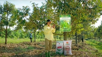 Những chuyến xe mùa vàng chở ngàn tâm tình nhà nông