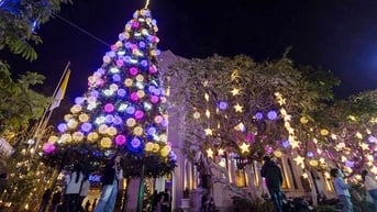 Chương trình vui chơi giải trí Tết dương lịch 2025