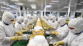 Số doanh nghiệp quay lại hoạt động trong tháng 6 cao nhất từ đầu năm