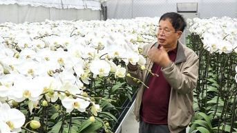 Khám phá vườn lan trăm triệu USD giữa thủ đô