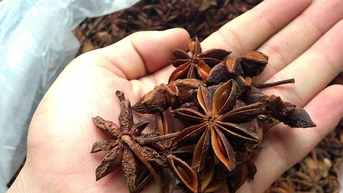 Gia vị hoa hồi xuất khẩu tăng đột biến