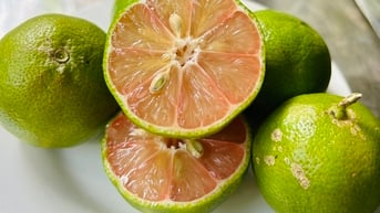 Ăn gì để thanh lọc cơ thể trong dịp tết?