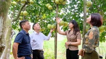Lãnh đạo TP Hà Nội sẽ đối thoại, tháo gỡ khó khăn cùng nông dân