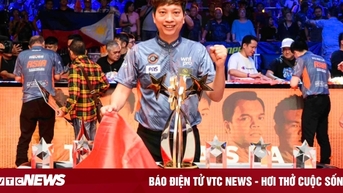 Liên đoàn Billiards Việt Nam bị đình chỉ
