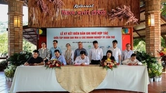 Sao Mai Group kết nối, tăng cường hợp tác để cùng phát triển