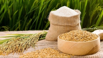 ហេតុផលដែល CPI ក្នុងខែតុលា ឆ្នាំ 2023 កើនឡើង 3.2% បើធៀបនឹងរយៈពេលដូចគ្នាក្នុងឆ្នាំ 2022