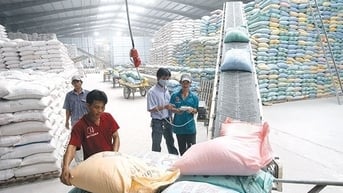 Xuất khẩu gạo 11 tháng đạt hơn 5,3 tỷ USD
