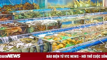 Ốc, tôm, cua, ghẹ đồng loạt đội giá