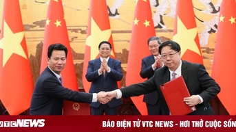 Hợp tác nghiên cứu quản lý môi trường biển và hải đảo vùng Vịnh Bắc Bộ