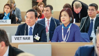 Một Việt Nam vững vàng ‘tỏa sáng’ trong những guồng quay