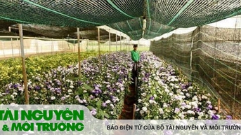 Hướng tới giảm nghèo bền vững