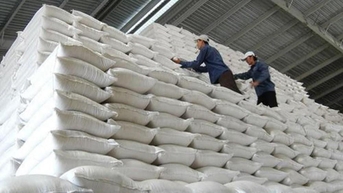 Bộ Tài chính: Sẵn sàng lương thực dự trữ quốc gia ứng phó các tình huống đột xuất, cấp bách